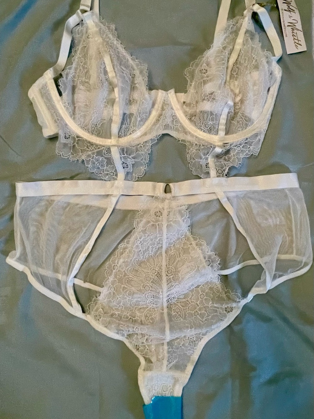 Delicate Sheer Lace Bra & Panty Lingerie Set in White by Wolf & Whistle NWT